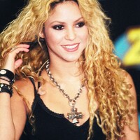 Shaki020609R02.jpg