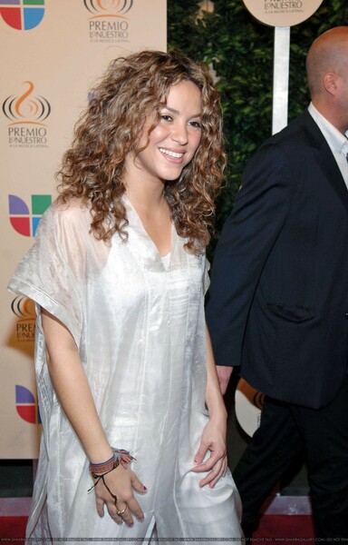 60224j1_shakira_b_gr_05.jpg