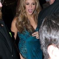 shakira_110607_001.jpg