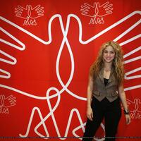 3133066194-colombian-singer-shakira-poses-picture-interview-promote-concert-mexico-city.jpg