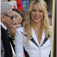 shakira_star_08_wenn3599544.jpg