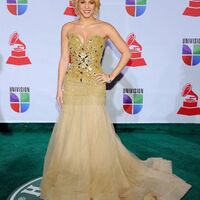 Shakira2B12th2BAnnual2BLatin2BGRAMMY2BAwards2BArrivals2BWJPQNKRh3frl.jpg