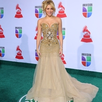 Shakira_grammy_latin_281129.jpg