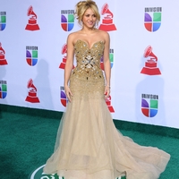 Shakira_grammy_latin_281329.jpg