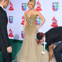 Shakira_grammy_latin_28429.jpg