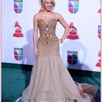 full_latin_grammys_16_wenn3604028.jpg