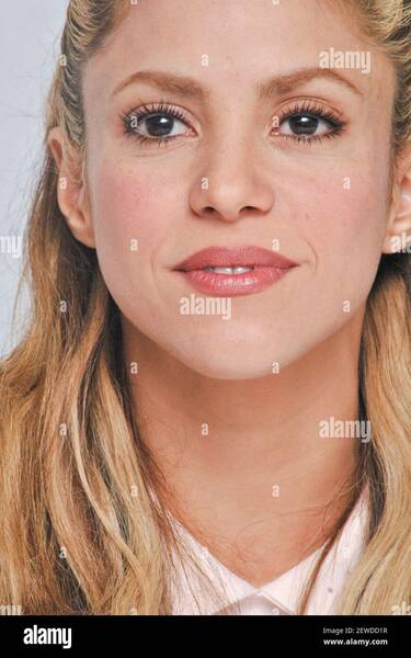 shakira-at-the-hollywood-foreign-press-association-press-conference-for-zootopia-held-in-beverly-hills-ca-on-february-17-2016-2EWDD1R.jpg