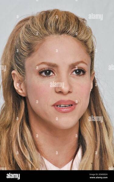 shakira-at-the-hollywood-foreign-press-association-press-conference-for-zootopia-held-in-beverly-hills-ca-on-february-17-2016-2EWDD2H.jpg