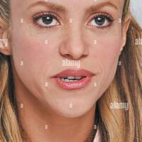 shakira-at-the-hollywood-foreign-press-association-press-conference-for-zootopia-held-in-beverly-hills-ca-on-february-17-2016-2EWDD19.jpg