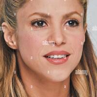 shakira-at-the-hollywood-foreign-press-association-press-conference-for-zootopia-held-in-beverly-hills-ca-on-february-17-2016-2EWDD25.jpg