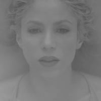 Trap_www_shakira-online_fr_00028.png