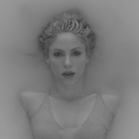 Trap_www_shakira-online_fr_00068.png