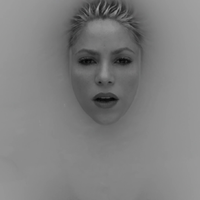 Trap_www_shakira-online_fr_00100.png