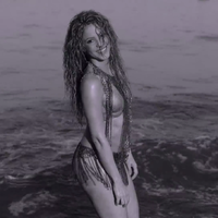 cap_www_shakira-online_fr_00143.png