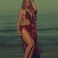 cap_www_shakira-online_fr_00206.png