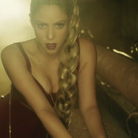 perrofiel_www_shakira-online_fr_00043.png