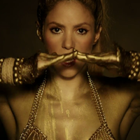 perrofiel_www_shakira-online_fr_00140.png