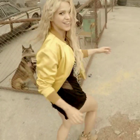 meenamore_www_shakira-online_fr_00047.png