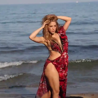 cap_www_shakira-online_fr_00050.png