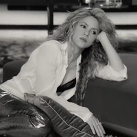 cap_www_shakira-online_fr_00023.png