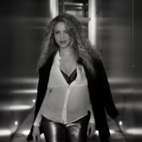 cap_www_shakira-online_fr_00089.png