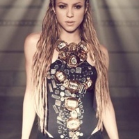 Shakira-did-it-again-shakira-9127985-240-320.jpg