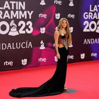 Shakira_2023_Latin_Grammys_RedCarpet.jpg