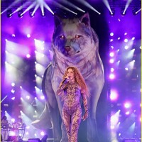 shakira-concert-colombia-58.jpg