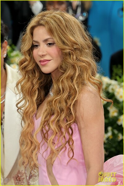 shakira-met-gala-2025-23.jpg