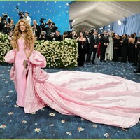 shakira-met-gala-2025-12.jpg