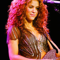 45683_shakira_liveconcert05_122_479lo.jpg